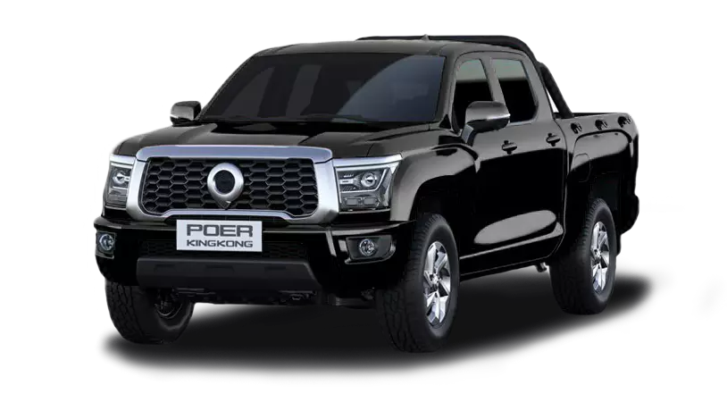 Great Wall Poer King Kong I, Черный, 2450000 рублей, вид 2