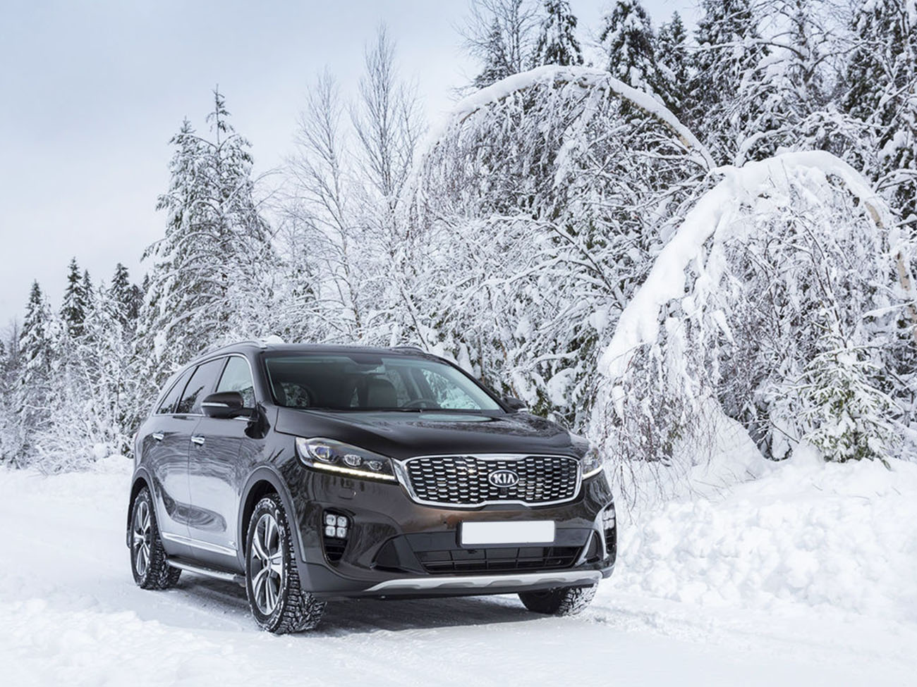 Размеры KIA Sorento Prime: высота, ширина и длина Киа Sorento Prime,  габаритные размеры и описание на сайте autospot.ru