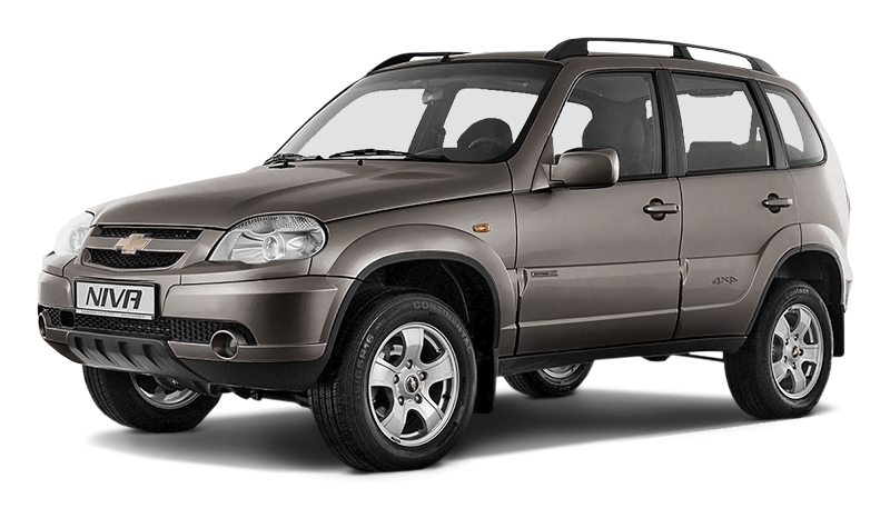 

Chevrolet-niva Niva 1.7 (80 л.с.) 5MT AWD, Серо-коричневый металлик («аустер»)