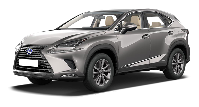 

Lexus NX 2.5 (197 л.с.) 5CVT AWD, Светло-серый металлик