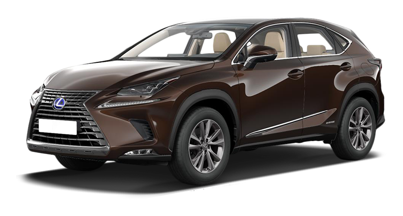 

Lexus NX 2.0 (238 л.с.) 6AT AWD, Коричневый металлик