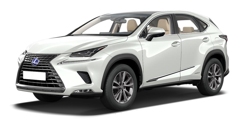 

Lexus NX 2.0 (238 л.с.) 6AT AWD, Искрящийся белый специальный металлик