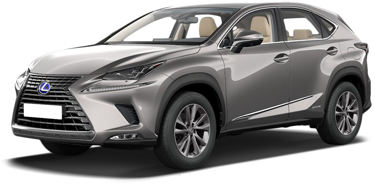

Lexus NX 2.0 (238 л.с.) 6AT AWD, Светло-серый металлик